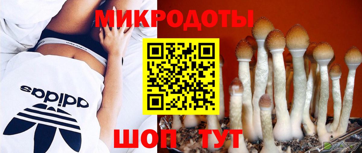 Рыбинск  Галлюциногенные грибы GOLDEN TEACHER  Вход с VPN 