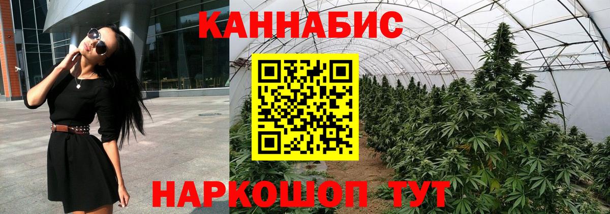 Бошки Шишки семена Рыбинск